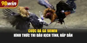 Cược Đá Gà 98WIN - Hình Thức Thi Đấu Kịch Tính, Hấp Dẫn