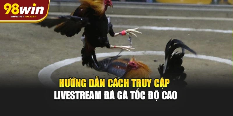 Hướng dẫn cách truy cập livestream đá gà tốc độ cao
