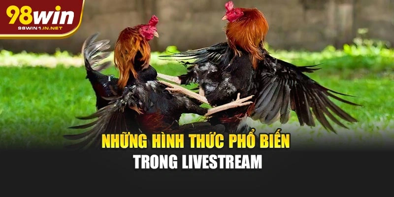 Những hình thức phổ biến trong livestream