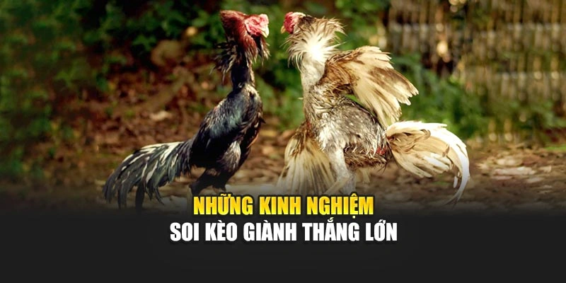  Những kinh nghiệm soi kèo giành thắng lớn