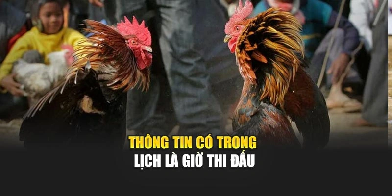 Thông tin có trong lịch là giờ thi đấu